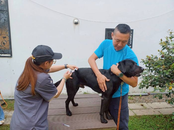 臺中搜救犬與警犬完成疫苗接種，守護毛孩健康也守住城市安全防線